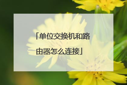 单位交换机和路由器怎么连接