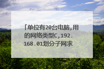 单位有20台电脑,用的网络类型C,192.168.01划分子网求20台电脑Ip地址