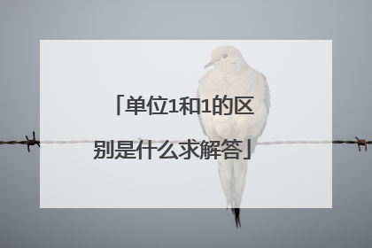 单位1和1的区别是什么求解答