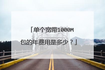 单个宽带1000M包的年费用是多少？