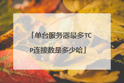 单台服务器最多TCP连接数是多少哈