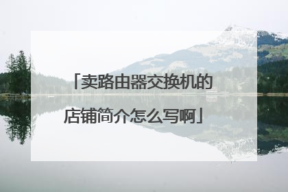 卖路由器交换机的店铺简介怎么写啊