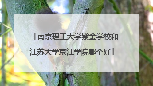 南京理工大学紫金学校和江苏大学京江学院哪个好