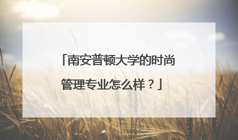 南安普顿大学的时尚管理专业怎么样？