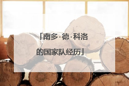 南多·德·科洛的国家队经历