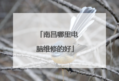 南昌哪里电脑维修的好