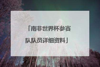 南非世界杯参赛队队员详细资料