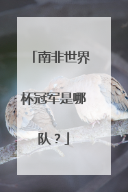 南非世界杯冠军是哪队？