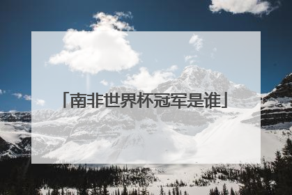 南非世界杯冠军是谁