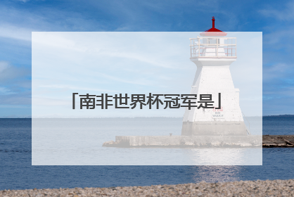 南非世界杯冠军是