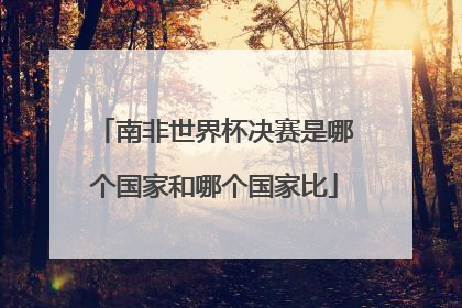南非世界杯决赛是哪个国家和哪个国家比