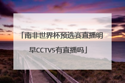 南非世界杯预选赛直播明早CCTV5有直播吗