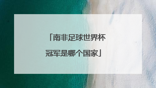 南非足球世界杯冠军是哪个国家