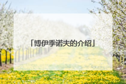 博伊季诺夫的介绍