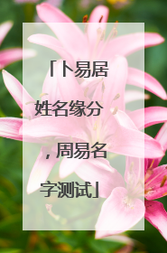 卜易居姓名缘分,周易名字测试