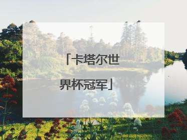 卡塔尔世界杯冠军