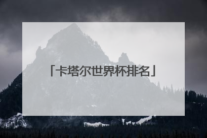 卡塔尔世界杯排名