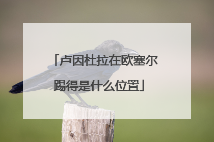 卢因杜拉在欧塞尔踢得是什么位置