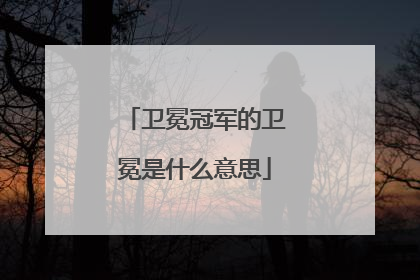 卫冕冠军的卫冕是什么意思