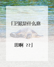 卫冕是什么意思啊 ??