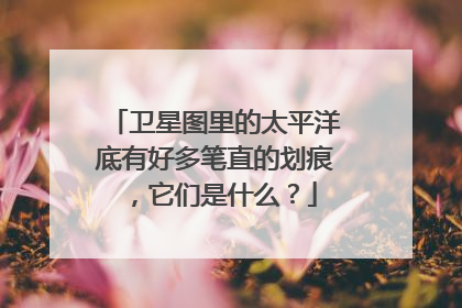 卫星图里的太平洋底有好多笔直的划痕,它们是什么?