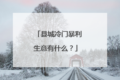 县城冷门暴利生意有什么？
