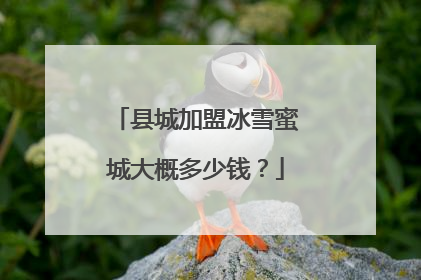 县城加盟冰雪蜜城大概多少钱？