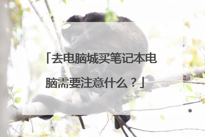 去电脑城买笔记本电脑需要注意什么?