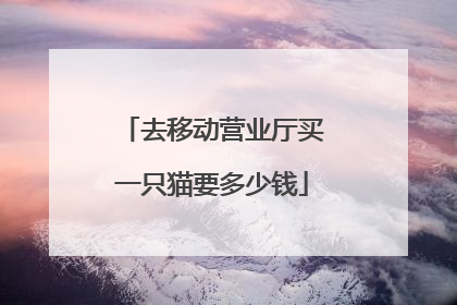 去移动营业厅买一只猫要多少钱