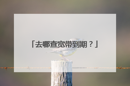 去哪查宽带到期?