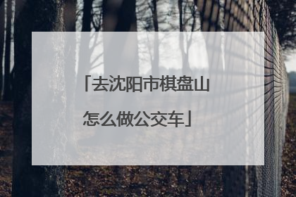 去沈阳市棋盘山怎么做公交车