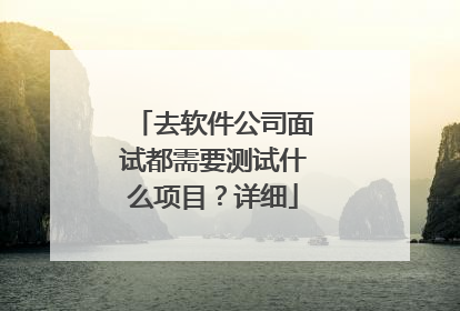去软件公司面试都需要测试什么项目?详细