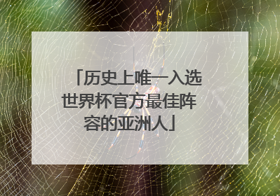 历史上唯一入选世界杯官方最佳阵容的亚洲人