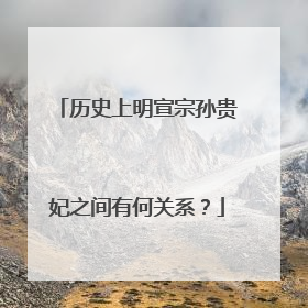 历史上明宣宗孙贵妃之间有何关系?