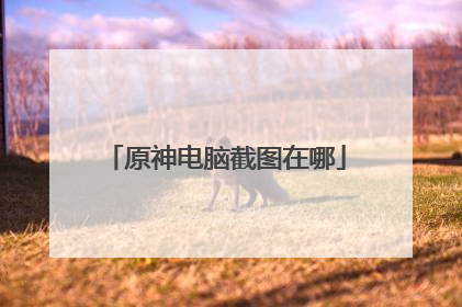 原神电脑截图在哪