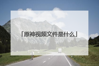 原神视频文件是什么