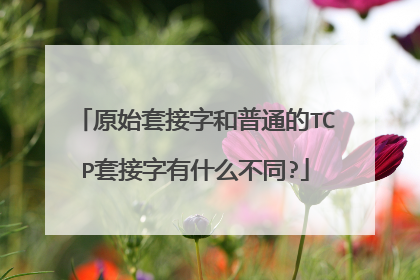 原始套接字和普通的TCP套接字有什么不同?