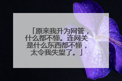 原来我升为网管,什么都不懂。连网关是什么东西都不懂,太令我失望了。