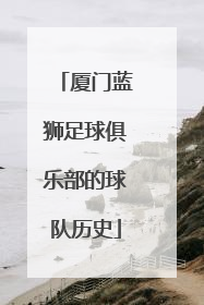 厦门蓝狮足球俱乐部的球队历史