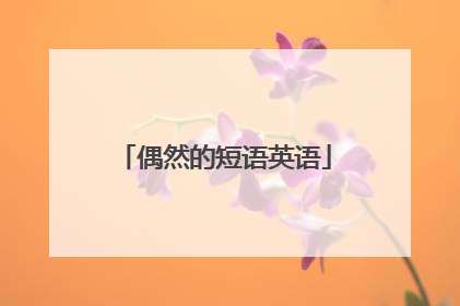 偶然的短语英语