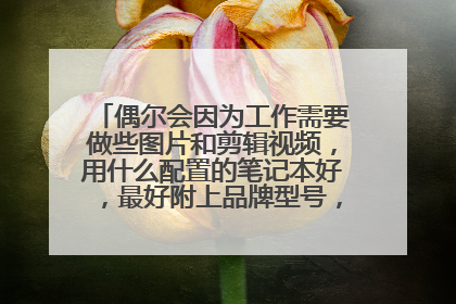 偶尔会因为工作需要做些图片和剪辑视频，用什么配置的笔记本好，最好附上品牌型号，真心是电脑小白。