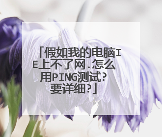 假如我的电脑IE上不了网.怎么用PING测试?要详细?