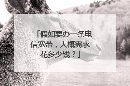 假如要办一条电信宽带，大概需求花多少钱？