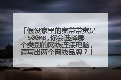 假设家里的宽带带宽是500MB,你会选择哪个类别的网线连接电脑,请写出两个网线品牌？