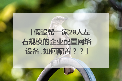 假设帮一家20人左右规模的企业配置网络设备.如何配置？？