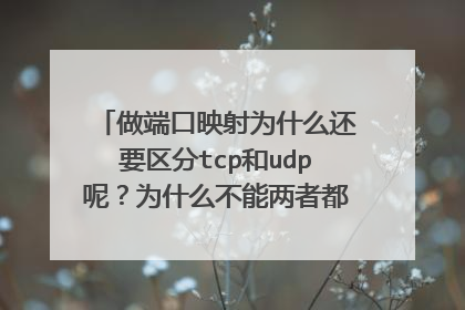 做端口映射为什么还要区分tcp和udp呢?为什么不能两者都支持呢?出于什么考虑这样设计的?