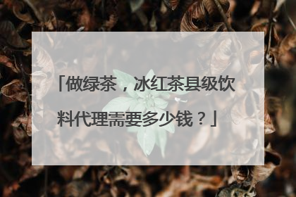 做绿茶,冰红茶县级饮料代理需要多少钱?