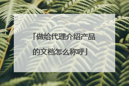 做给代理介绍产品的文档怎么称呼