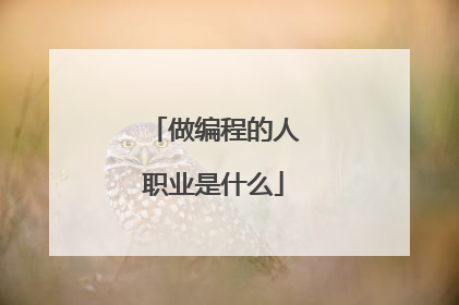 做编程的人职业是什么