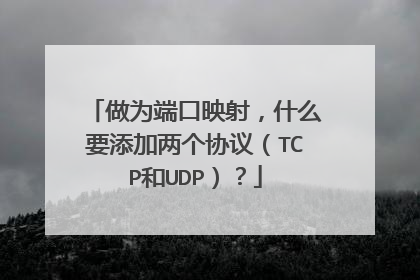 做为端口映射，什么要添加两个协议（TCP和UDP）？